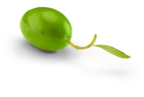OLIVE VERDOLINA 1,9KG